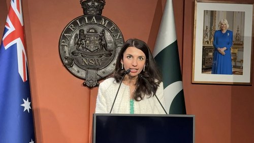 A person standing at a podium with microphones

AI-generated content may be incorrect.