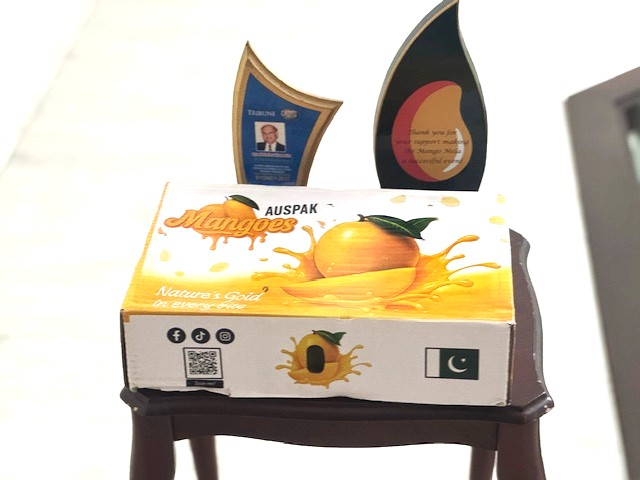 A box on a chair

AI-generated content may be incorrect.