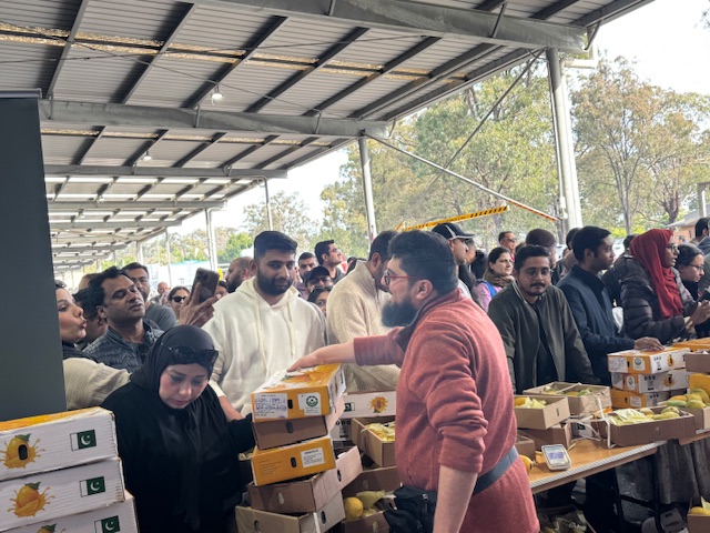 A group of people standing around a table with boxes

AI-generated content may be incorrect.